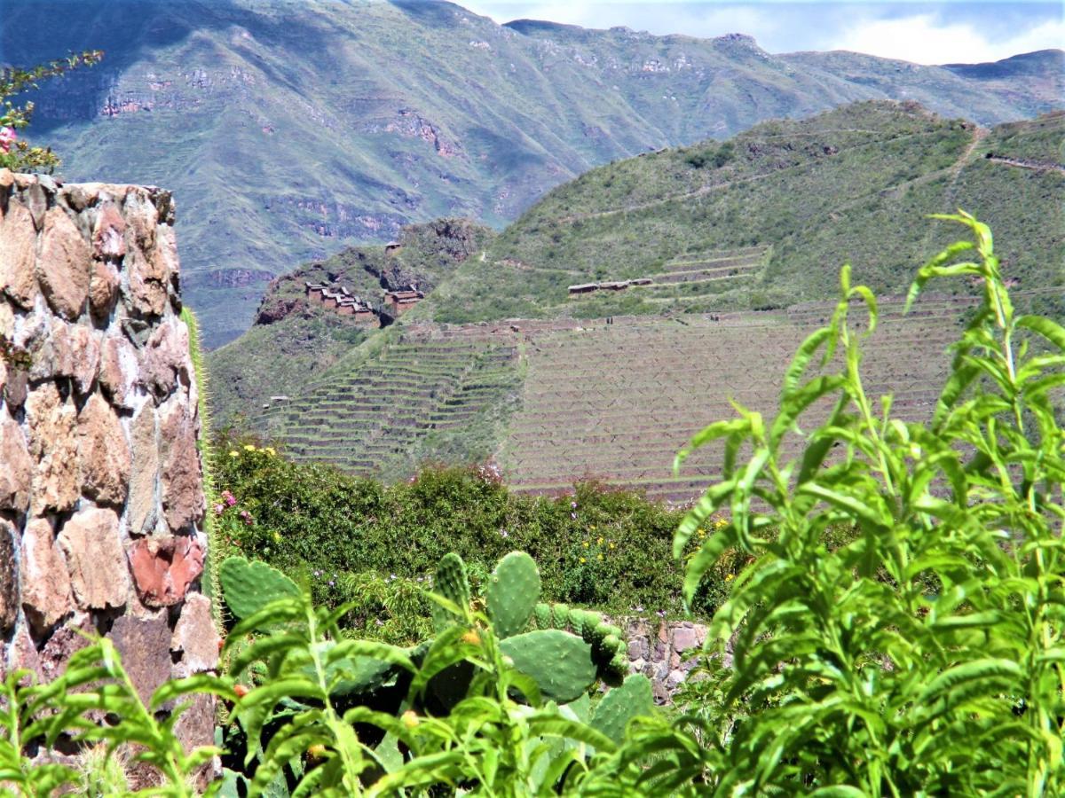 Casa De Oren Pisac Eksteriør billede
